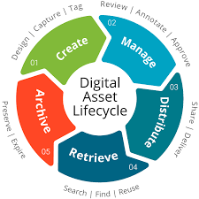  Digital asset